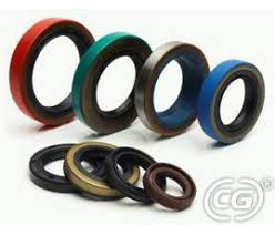 Rotary Shaft Seals