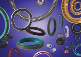 Fluid Seals