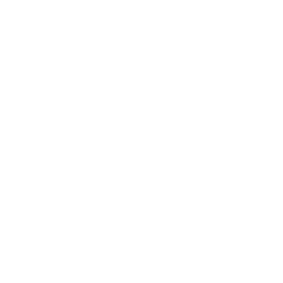 truck icon